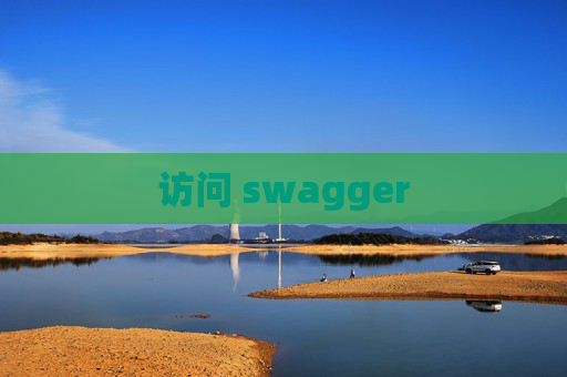 访问 swagger